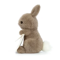 Jellycat Messenger Bunny< Best Sellers|All Soft Toys
